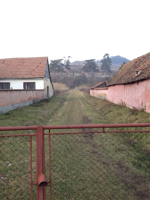 Image 20 of 37  -  95 kB